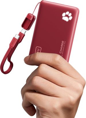INIU Portable Charger